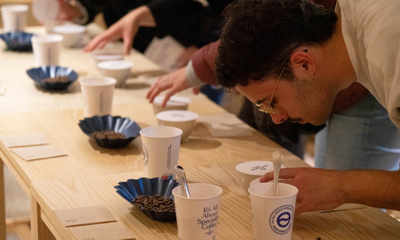 Cata de café de especialidad East Crema Coffee Cupping
