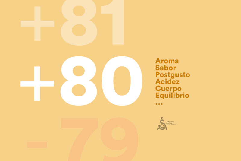 Puntuación SCA: Aroma, sabor o equilibrio entre otros.