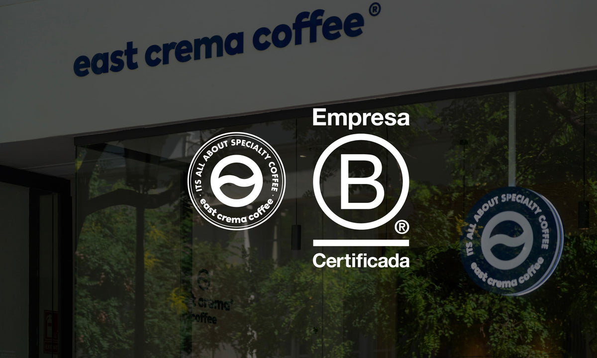 East Crema Coffee Sorni, photo 6