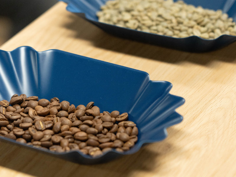 Curso de iniciación al Café de Especialidad — Descripción